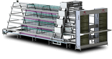 A-Type Layer Chicken Cages